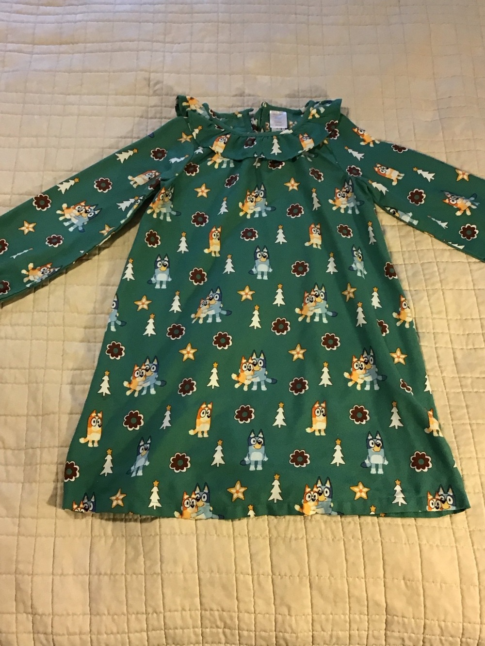 Bluey Character Print Hanna Andersson Long-Sleeve Nightgown